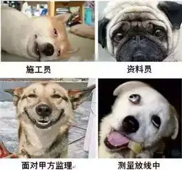 我是酉阳搞工程的,你是干撒的