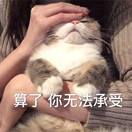 一年一度虐狗节来袭,才发现单身这么久是有原因的