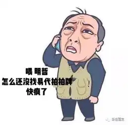 苏大强都拍中沪牌了来来来,快把你的标书交出来