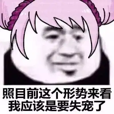 搞笑照目前这个形势来看,我应该表情包之王者荣耀版