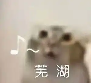 超详细如何在德国租房wg合租vs单人公寓