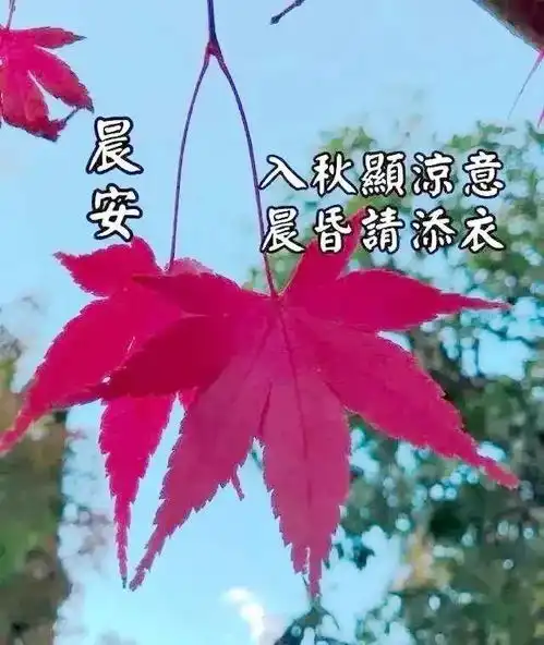 12月16日冬季朋友圈超漂亮早上好动态表情美图,清早祝福问候语句
