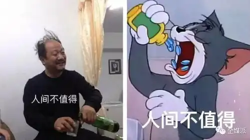 从流行语到表情包,从恶搞到鬼畜混制文化主宰流行的时代到了