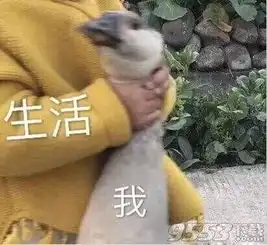 她真是当之无愧的话题女王,曾被邓伦拍屁股公开恋情