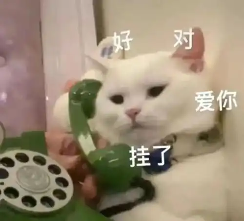 表情包我的母语是无语