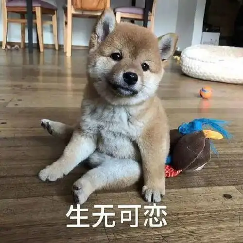 测试一个超长简介的文章