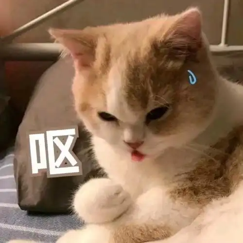 笑话段子终于知道吃奥利奥为什么要先舔一舔了