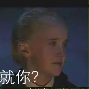 有没有哈利波特无水印表情包
