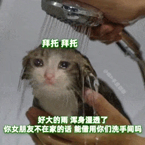 绿茶表情包对不起我不是有意的,我不想你们因为我吵架