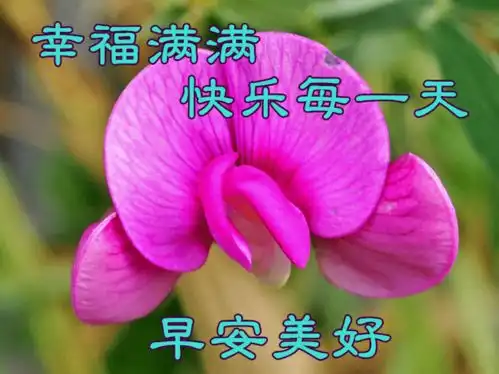 12月9日最新早上好动态表情图片大全,早上好祝福语句子