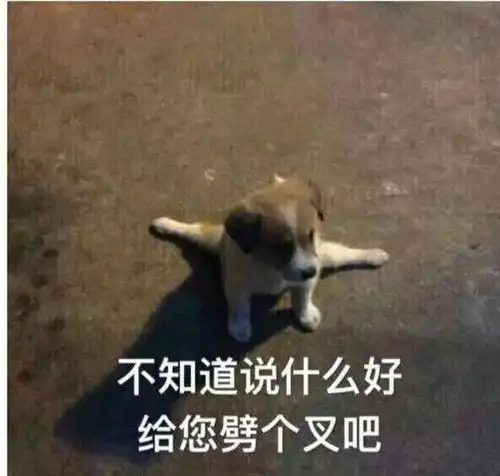 恋爱中遭到父母反对,但又不能破釜沉舟怎么办