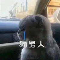 忧愁它围绕着我表情包微信头像图片大全