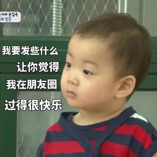 微信搞笑斗图表情包一看你就是知识分子