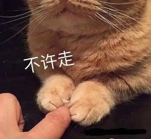 搞笑聊天表情包i真是越想越生气