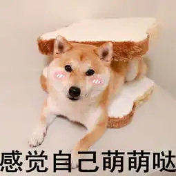 分享几个你聊天时候常用的图片