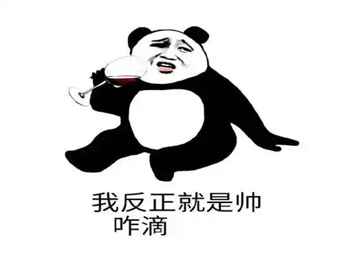 熊猫表情包我反正就是帅,咋滴