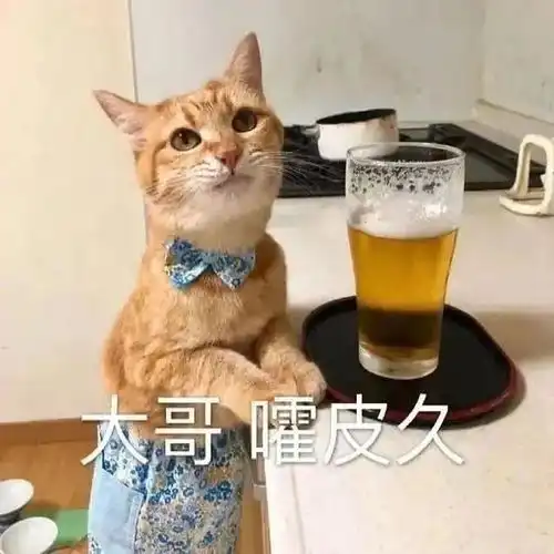 愁的表情包搞笑图片过敏