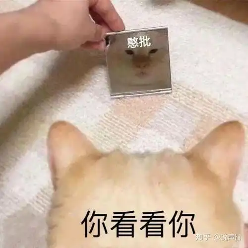 你能讲一个让人瞬间爆笑的笑话吗