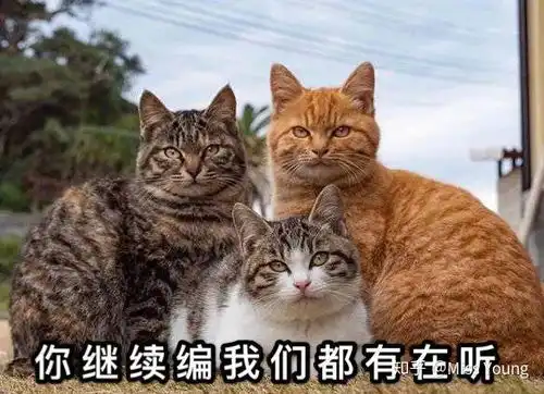 有人明白美白仓是什么原理么