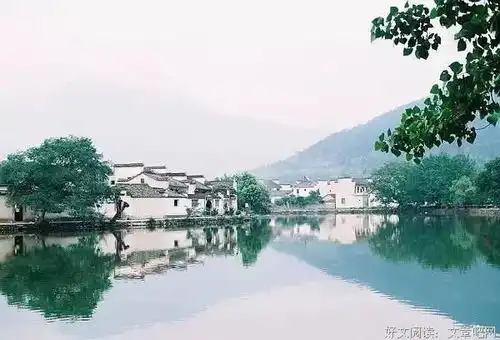 什么是文化,这是我听过最好的答案