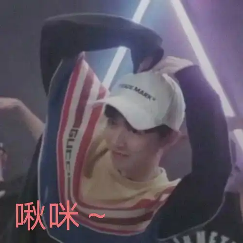 看我做的小小王表情包