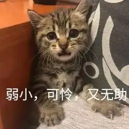 熊孩子玩手机被亲妈丢路边萍乡街头上演这样一幕...