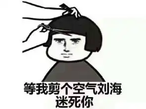 你是妈妈在厕所里一个屁嘣出来的