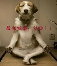 qq表情搞笑qq表情动物图片最高神道淡定