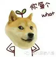 宁静一个大写的逗比千颂伊真人版搜狐娱乐搜狐网