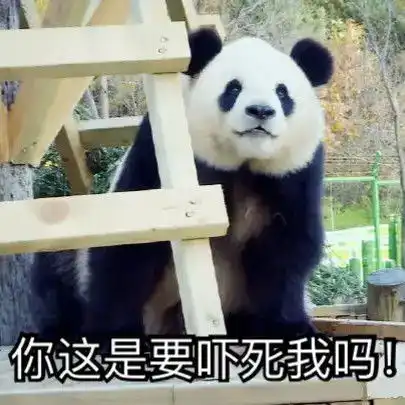 可爱熊猫表情包第一弹