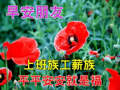 10月19日早上好动态表情图片及早晨好动图美图大全