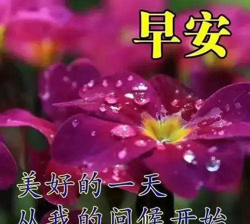 非常暖心的早上好问候语短信,朋友圈超级漂亮的早上好表情包