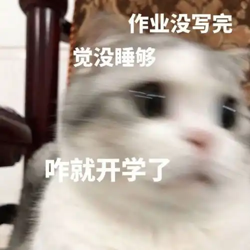表情包猫猫表情委屈到自闭
