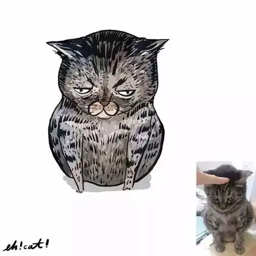 每一只喵,都是一只表情包