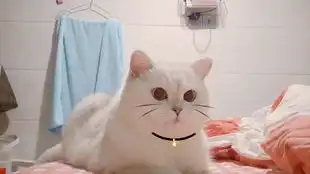 美颜也拯救不了的大脸盘子