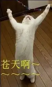 mtime时光网