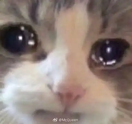 有没有要蹭姨妈的,我太多了呜呜呜