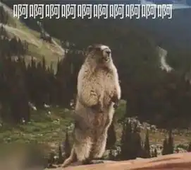 重庆也能get地狱厨房米其林三星同款牛排我默默退掉了去伦敦的机票