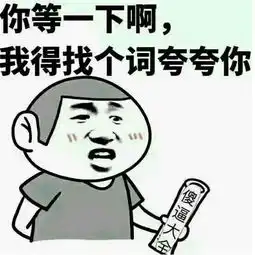 我们在拍流星花园,台湾却出了暗黑神剧