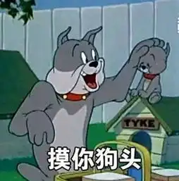 猫和老鼠表情包精选有猫饼