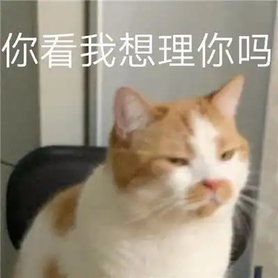 最新版超级可爱的微信常用表情包合集就让孤独陪我过夜