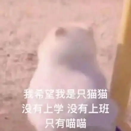 django请求生命周期流程图路由层之路由匹配无名有名分组反向解析路由分发名称空间
