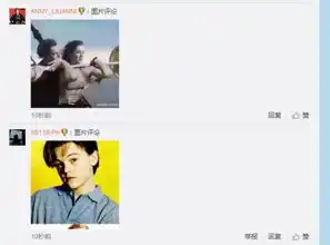 小李子莱昂纳多开微博不到3小时圈粉10万