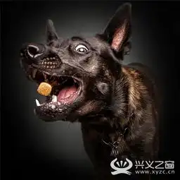当汪星人遇到美食的一瞬间