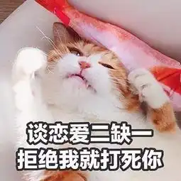 2018最新搞笑动物头像带字好玩我是一只会说话的可爱猫咪