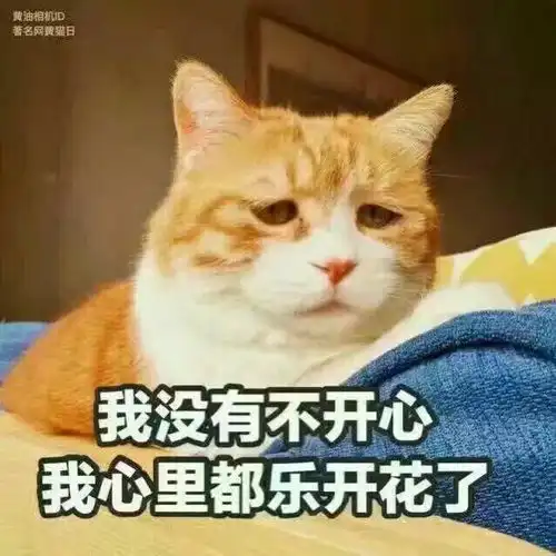 这是一条可爱搞怪的表情包合集