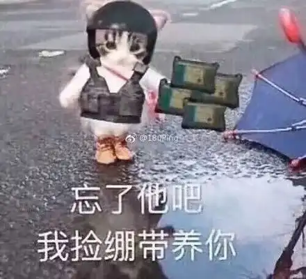 测试一个超长简介的文章