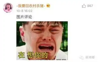 小李子终于开微博了,然而下面的评论却是这个画风