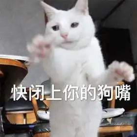 再冷血无情的年轻人,看到这两张表情包都得跪舔