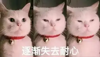 36岁男子找女友只求漂亮遭亲妈怼虚荣网友怒赞